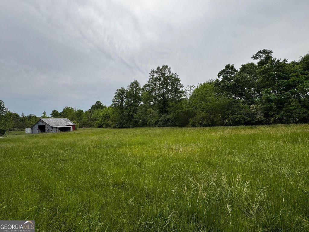 Photo of 5286 Highway 75 S, Cleveland, GA 30528 (MLS # 10766486)