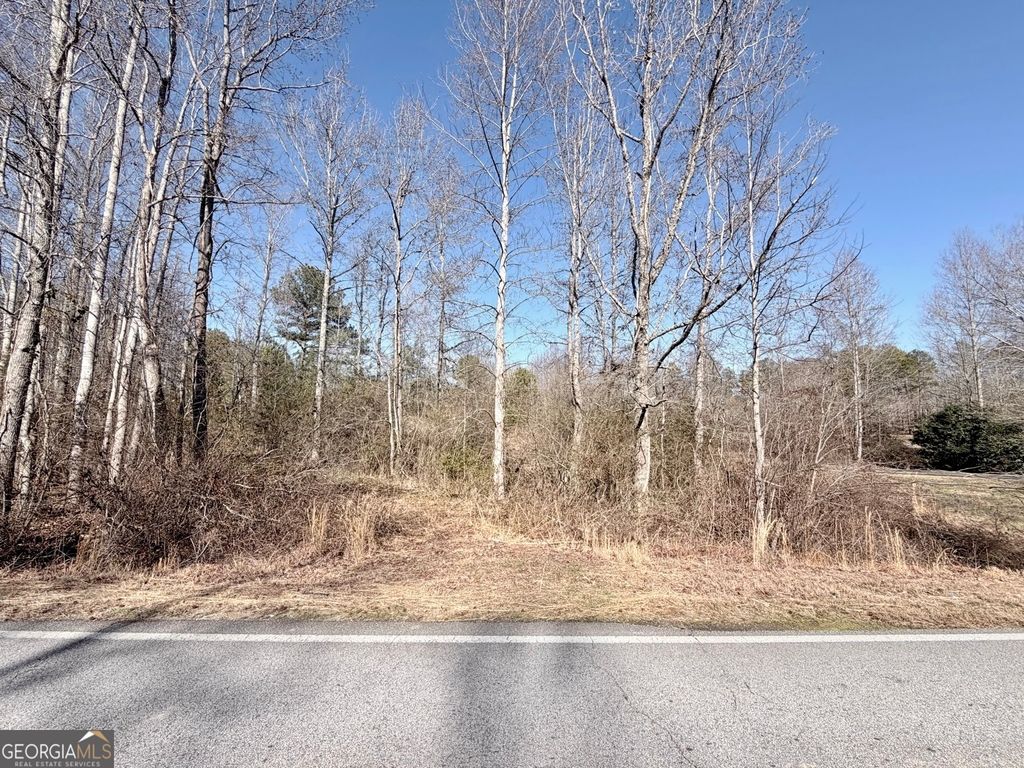 Photo of 0 New Hope Road, Toccoa, GA 30577 (MLS # 10687453)