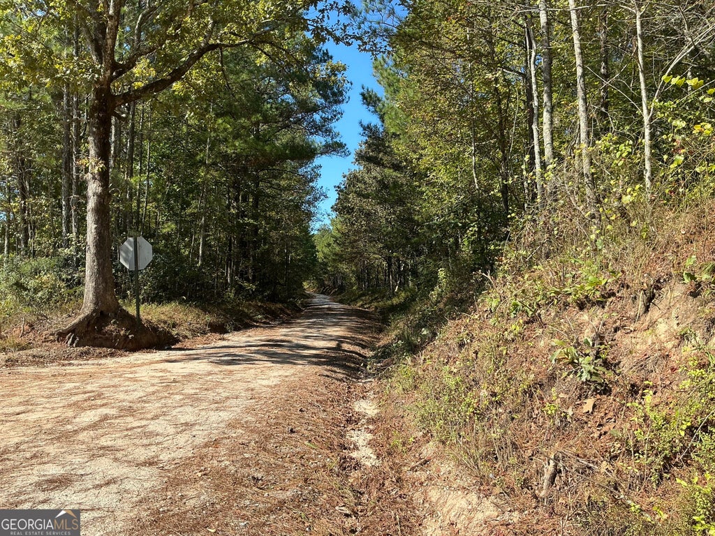 Photo of 168 Faulkner Road, Waco, GA 30182 (MLS # 10872944)