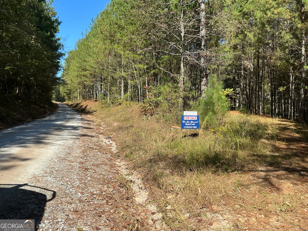 Photo of 168 Faulkner Road, Waco, GA 30182 (MLS # 10872944)