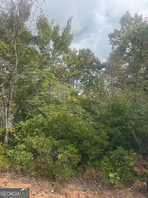 Photo of 16 Brown Hawk Drive, Clayton, GA 30525 (MLS # 10731921)