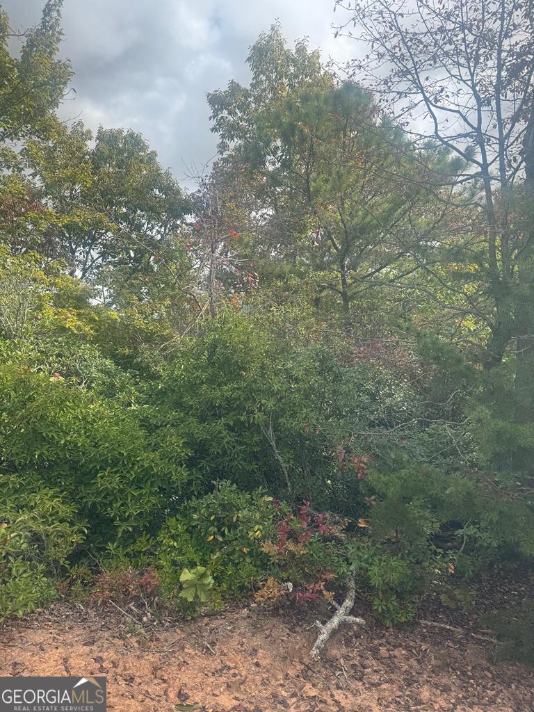 LOT 16 Brown Hawk DR