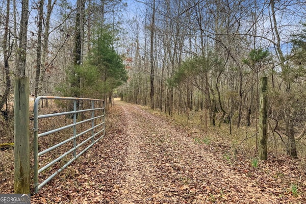 34.61 ACRES WALKER ROAD, MEANSVILLE, GA 30256 - Image e4e045f55f87219e96ea9b3ebe0f5d6d/1269360615
