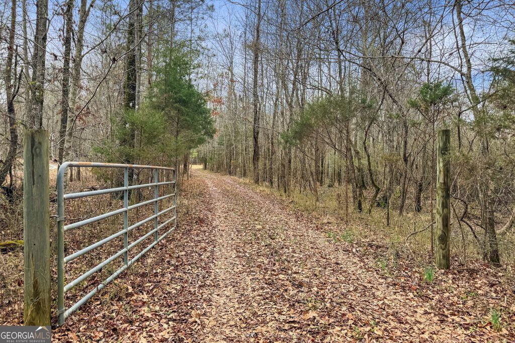 Photo of 3461 Walker Road, Meansville, GA 30256 (MLS # 10794124)