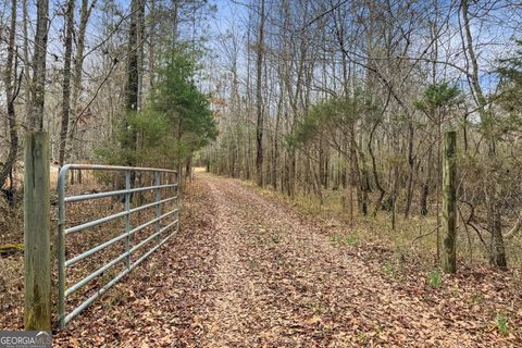 Photo of 3461 Walker Road, Meansville, GA 30256 (MLS # 10794124)