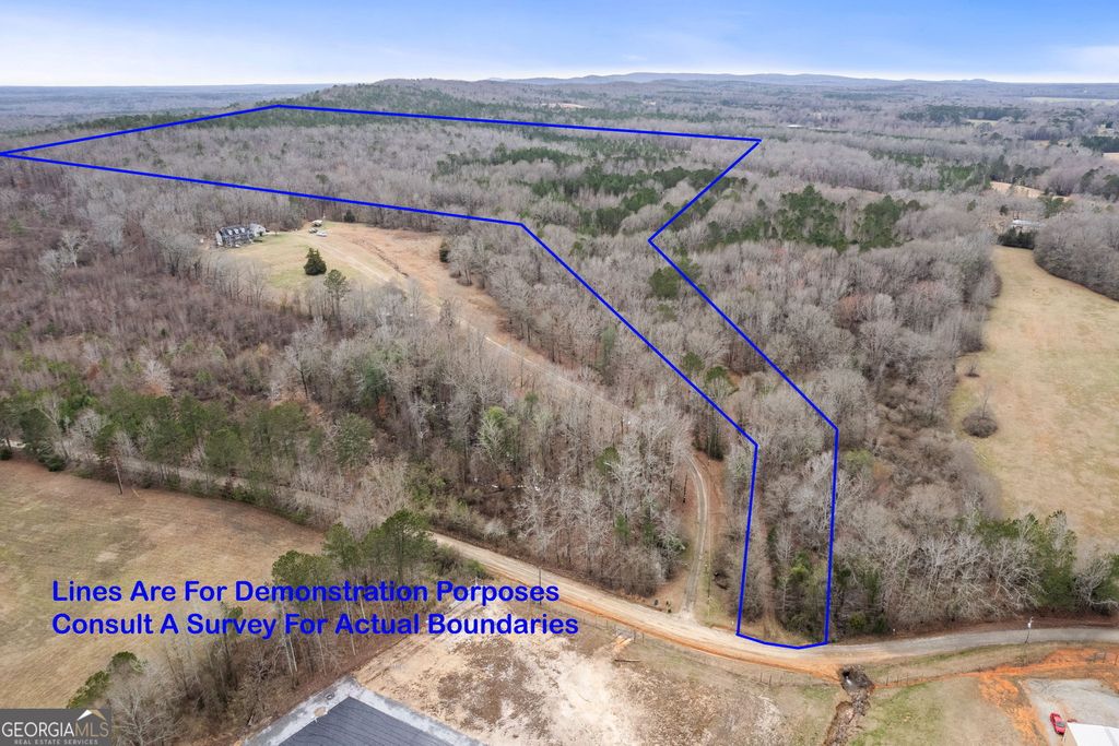 Photo of 3461 Walker Road, Meansville, GA 30256 (MLS # 10794124)