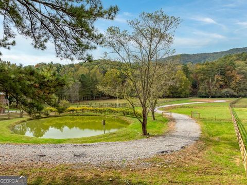 2673 Tails Creek Church RD Ellijay GA 30540