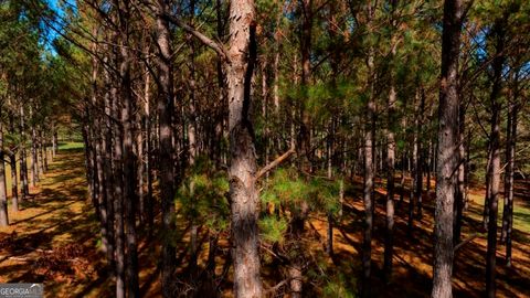 0 Bethel RD TRACT 8 Sylvania GA 30467
