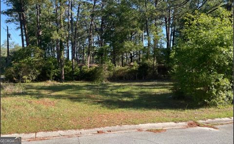 Photo of 1302 Riverside Dr, Waycross, GA 31501 (MLS # 10697239)