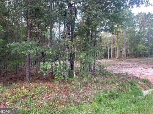 Photo of 6423 Carlton Oaks Rd, Garfield, GA 30425 (MLS # 10846912)