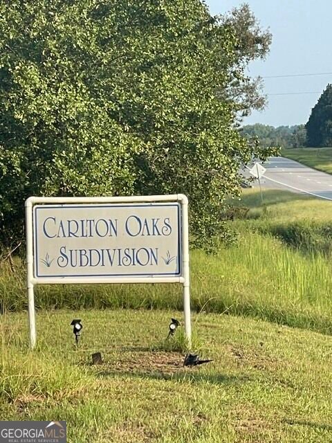 Photo of 6423 Carlton Oaks Rd, Garfield, GA 30425 (MLS # 10846912)