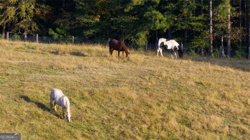 62 Acre Private Farm - Residential