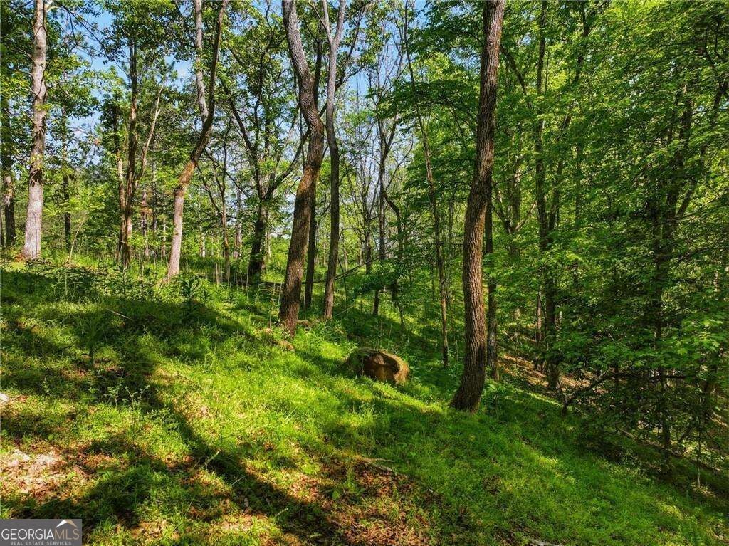 LOT 4 Summit DR