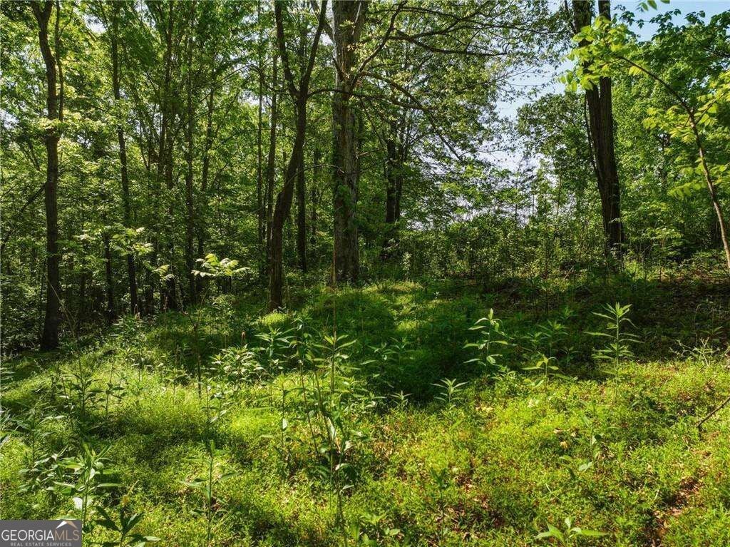 LOT 4 Summit DR