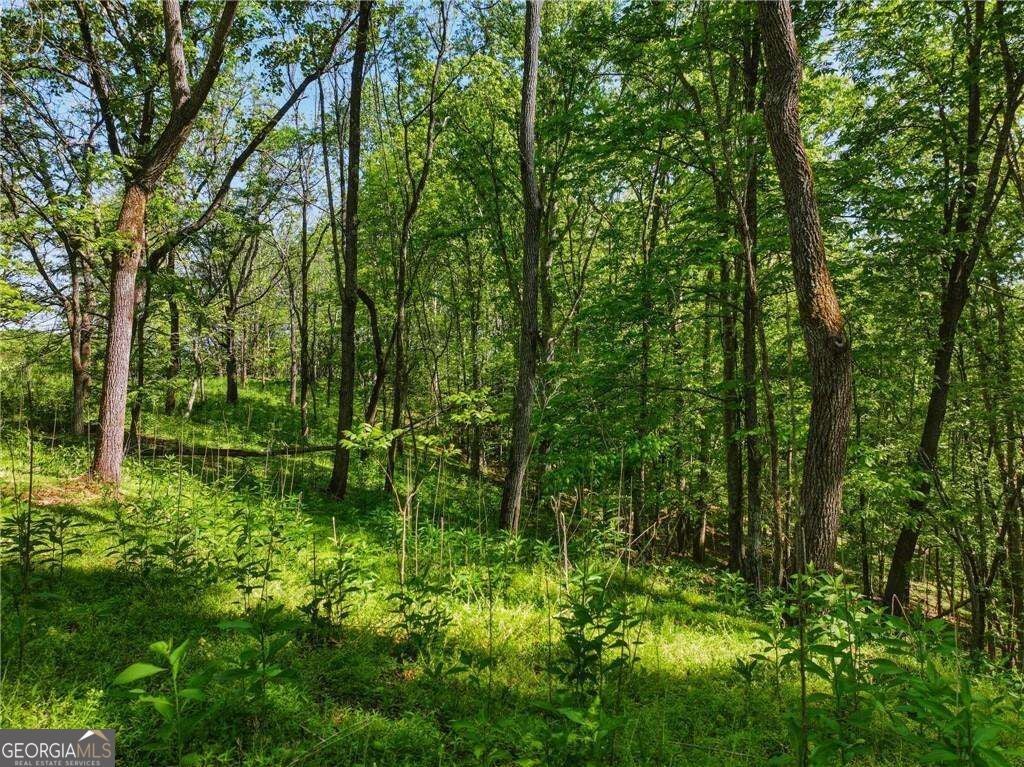 LOT 4 Summit DR