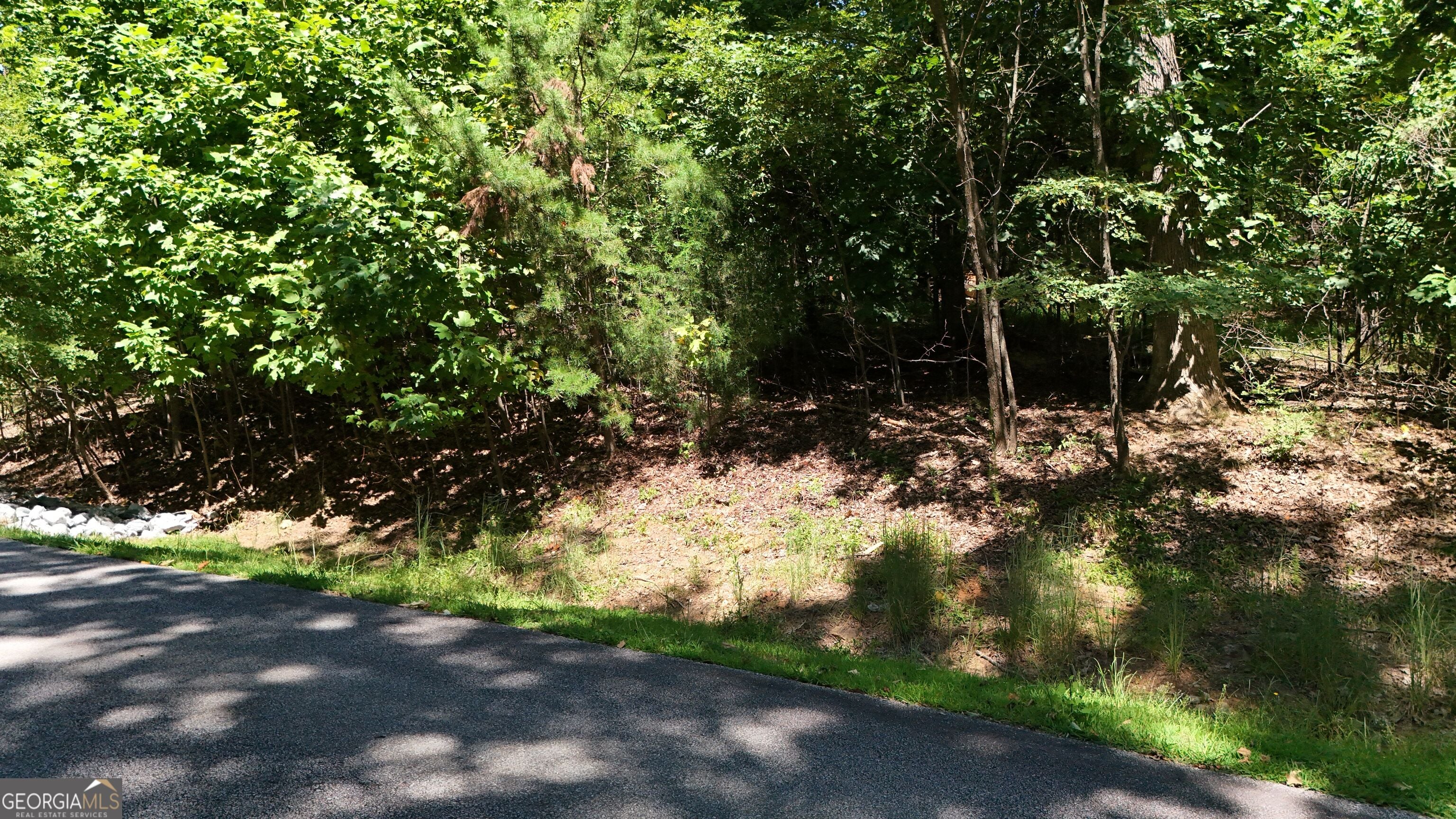 LOT 229 Stone Cliff TRCE