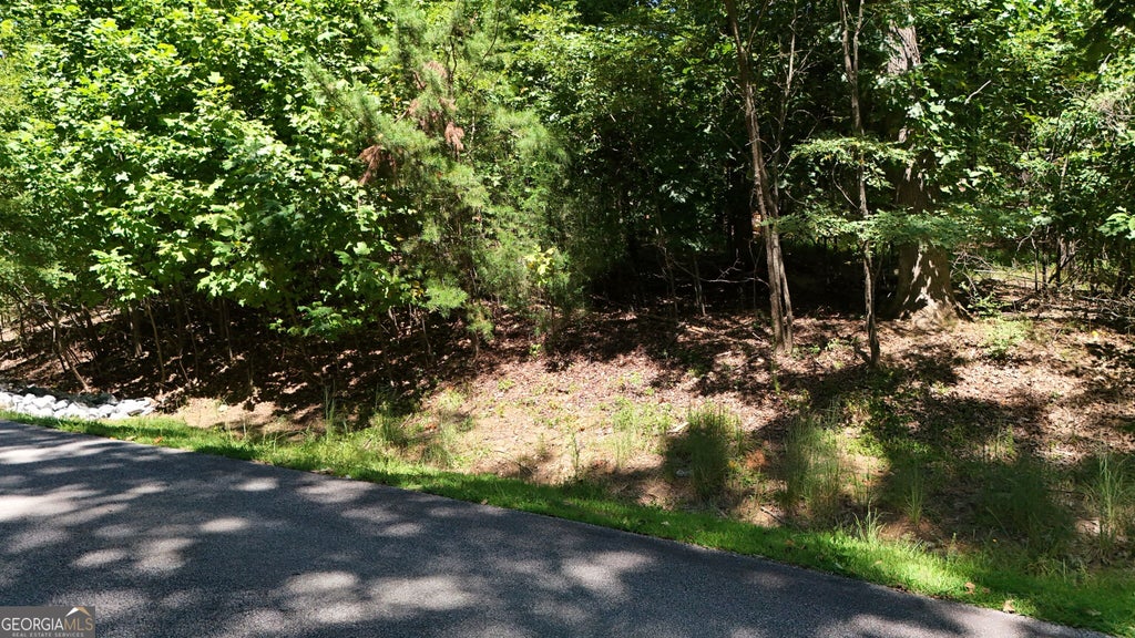 Photo of 229 Stone Cliff Trace, Cleveland, GA 30528 (MLS # 10844957)