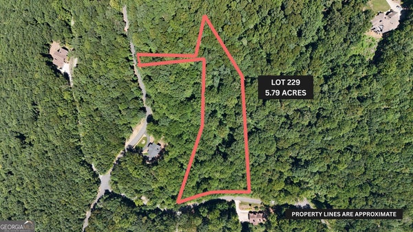 251 STONE CLIFF TRCE, CLEVELAND, GA 30528 - Image e4f6f7c16afc120a139404f5d42e738b/3520102027