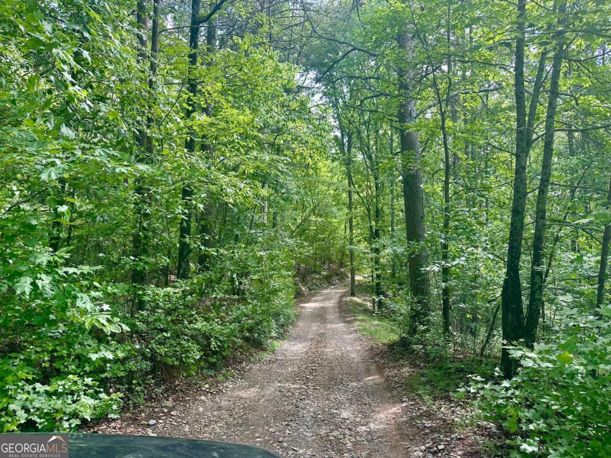 Hard to find beautiful, pristine acreage with large open forest, high canopy, magnificent hardwoods perfect for a tire swing. Prime location just off 400 in highly sought after Dawsonville/South Lumpkin County. Like a world away tucked gently back off the main road, down a private gravel drive. A drive is cut-in gently meandering up to the homesites. This property can be split one time to create a maximum of two lots. Would make an excellent private home estate or two wonderful custom/spec home lots. Opportunities like this typically don't come up in this area. Additional acreage available inquire with Broker.