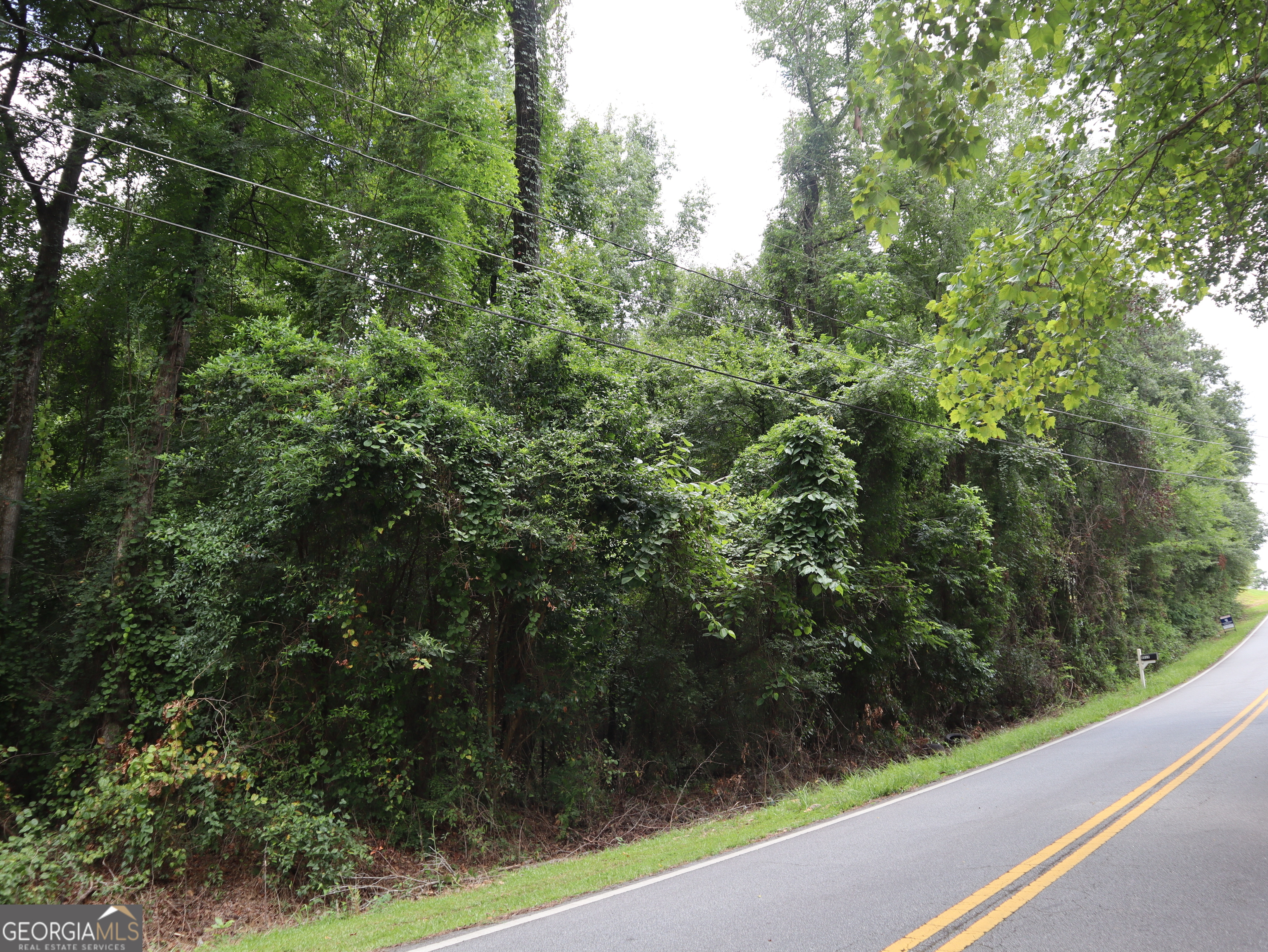 Looking for a .65 acre wooded lot near Macon and Warner Robins to build your dream home? Minutes from schools, grocery stores, drug stores and restaurants. This could be it! Bring your building plans and get started.