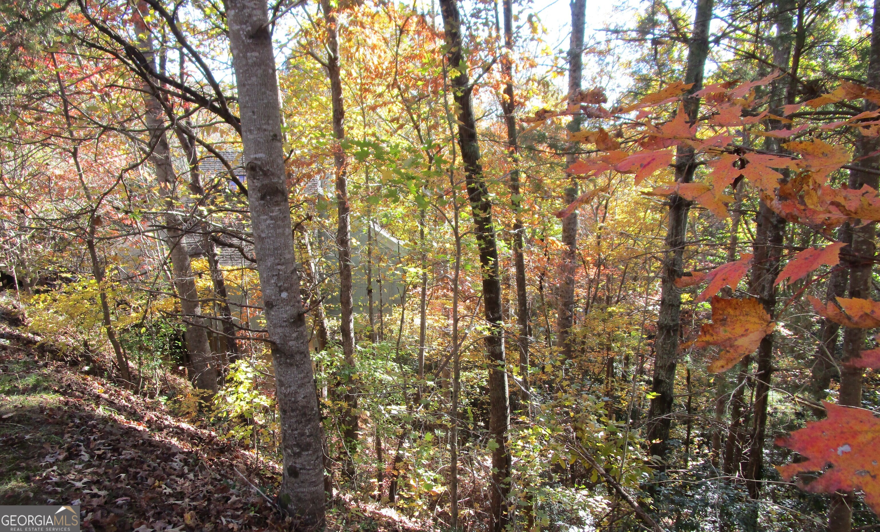 17 Dach Bruecke Gasse