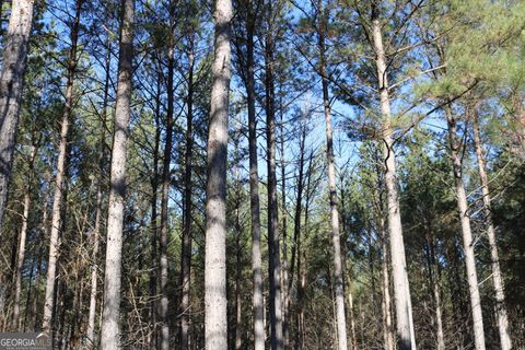 Photo of 0 Iron Hill, Taylorsville, GA 30178 (MLS # 10680252)