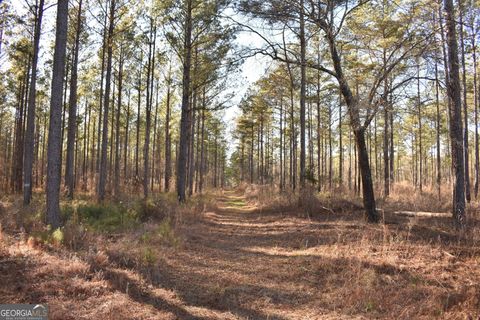 Photo of 0 Bancroft Road, Blakely, GA 39823 (MLS # 10691310)