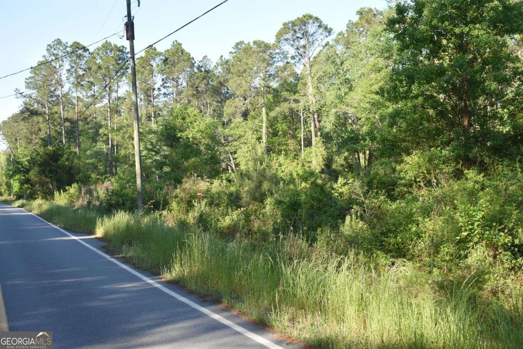 Photo of 5 Levy A Ray Road NE, Ludowici, GA 31316 (MLS # 10734294)