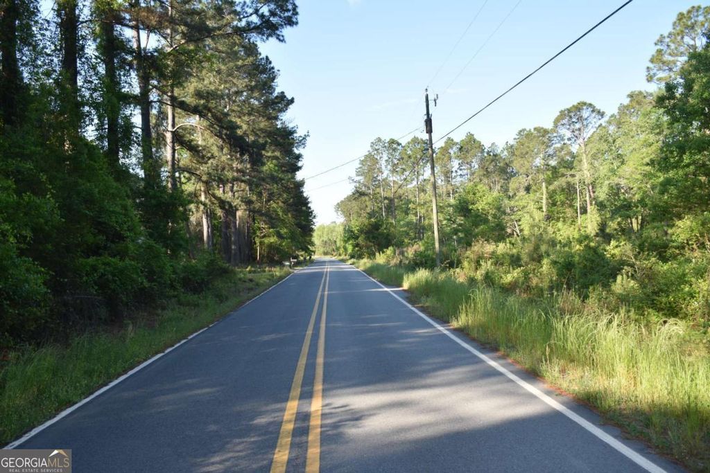 Photo of 5 Levy A Ray Road NE, Ludowici, GA 31316 (MLS # 10734294)