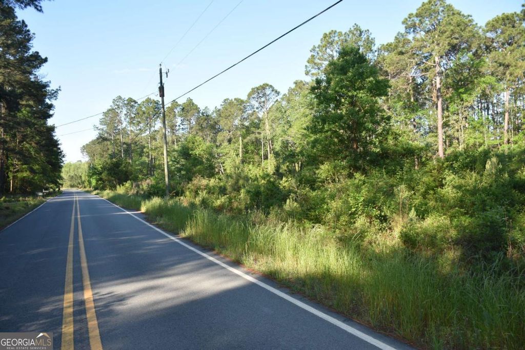 Photo of 5 Levy A Ray Road NE, Ludowici, GA 31316 (MLS # 10734294)