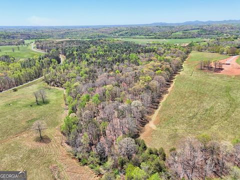 Photo of 200 Annandale Drive, Clarkesville, GA 30523 (MLS # 10730500)