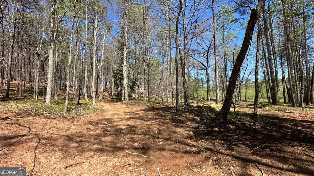 Photo of 200 Annandale Drive, Clarkesville, GA 30523 (MLS # 10730500)