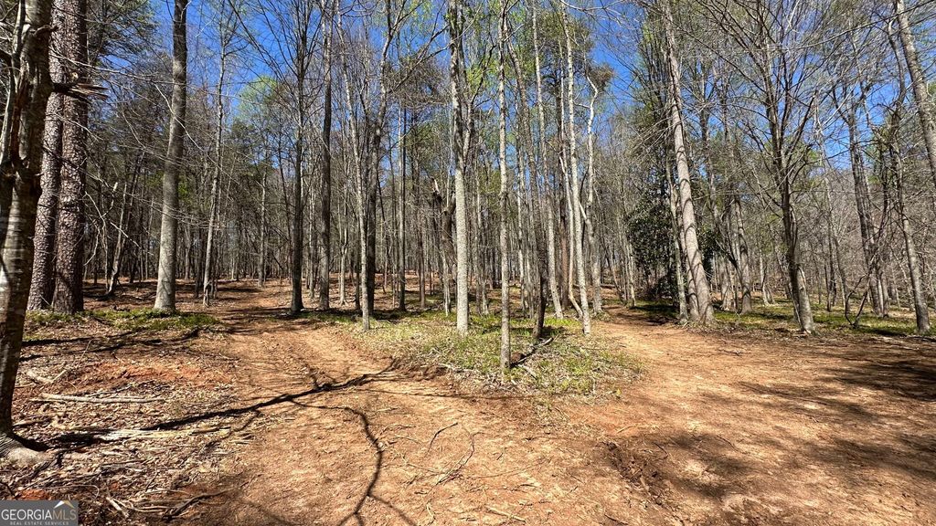 Photo of 200 Annandale Drive, Clarkesville, GA 30523 (MLS # 10730500)