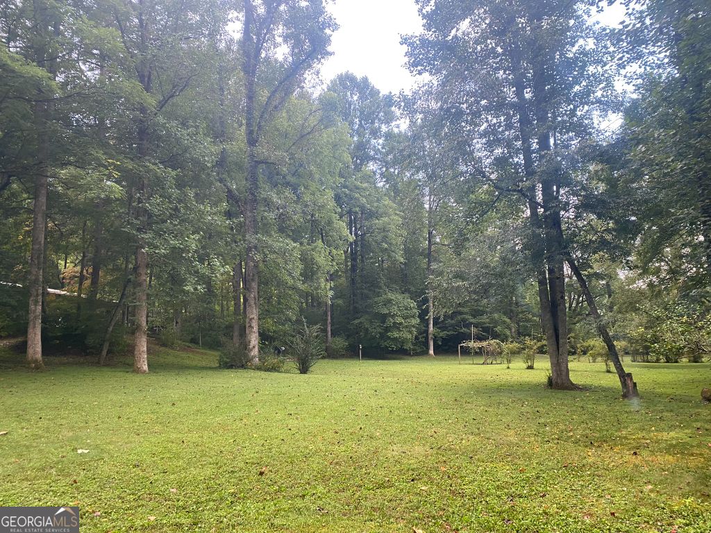 listing image 41