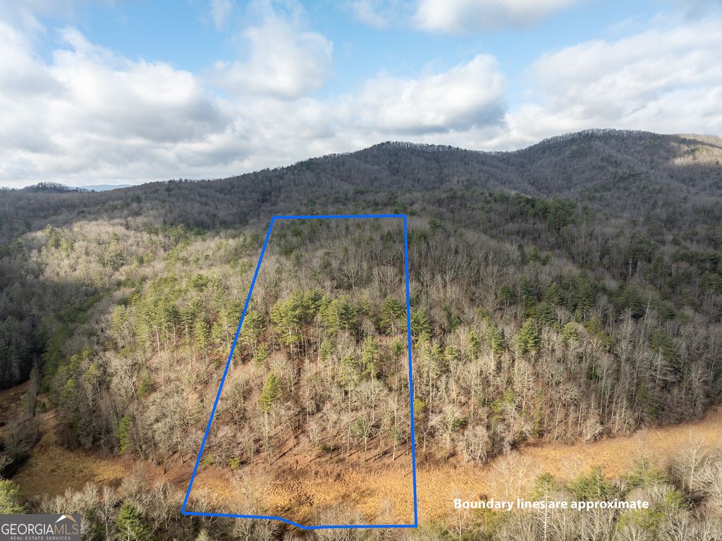 Photo of 3 Wolf Pen Gap Road, Ellijay, GA 30540 (MLS # 10664912)
