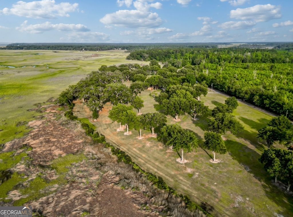 Photo of 3917 Harris Neck Rd Rd NE, Townsend, GA 31331 (MLS # 10663266)