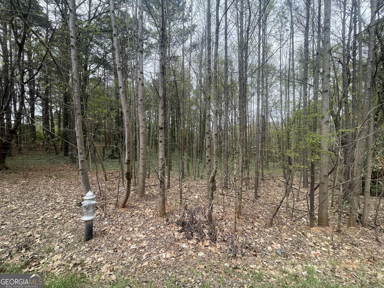 0 Mt Tabor Church RD