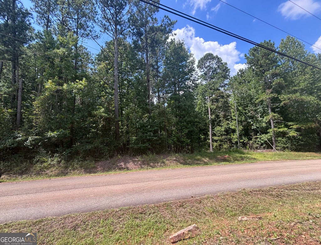 Photo of 679 Freedom Drive, Martin, GA 30557 (MLS # 10839492)