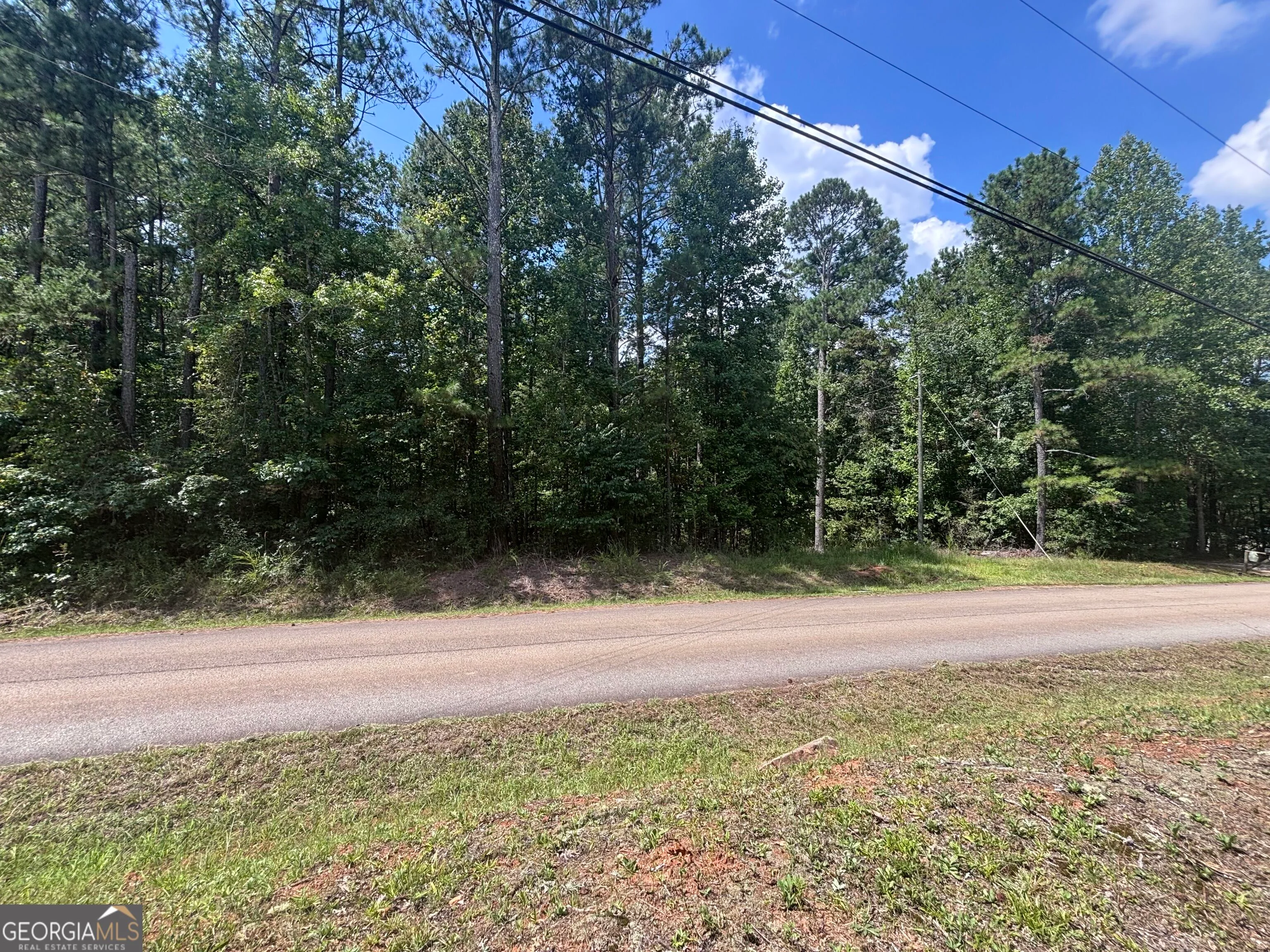 679 Freedom Drive, Martin, GA, 30557