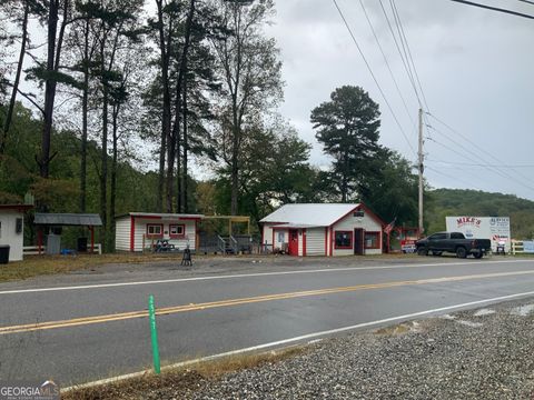 2532 Highway 325 Blairsville GA 30512