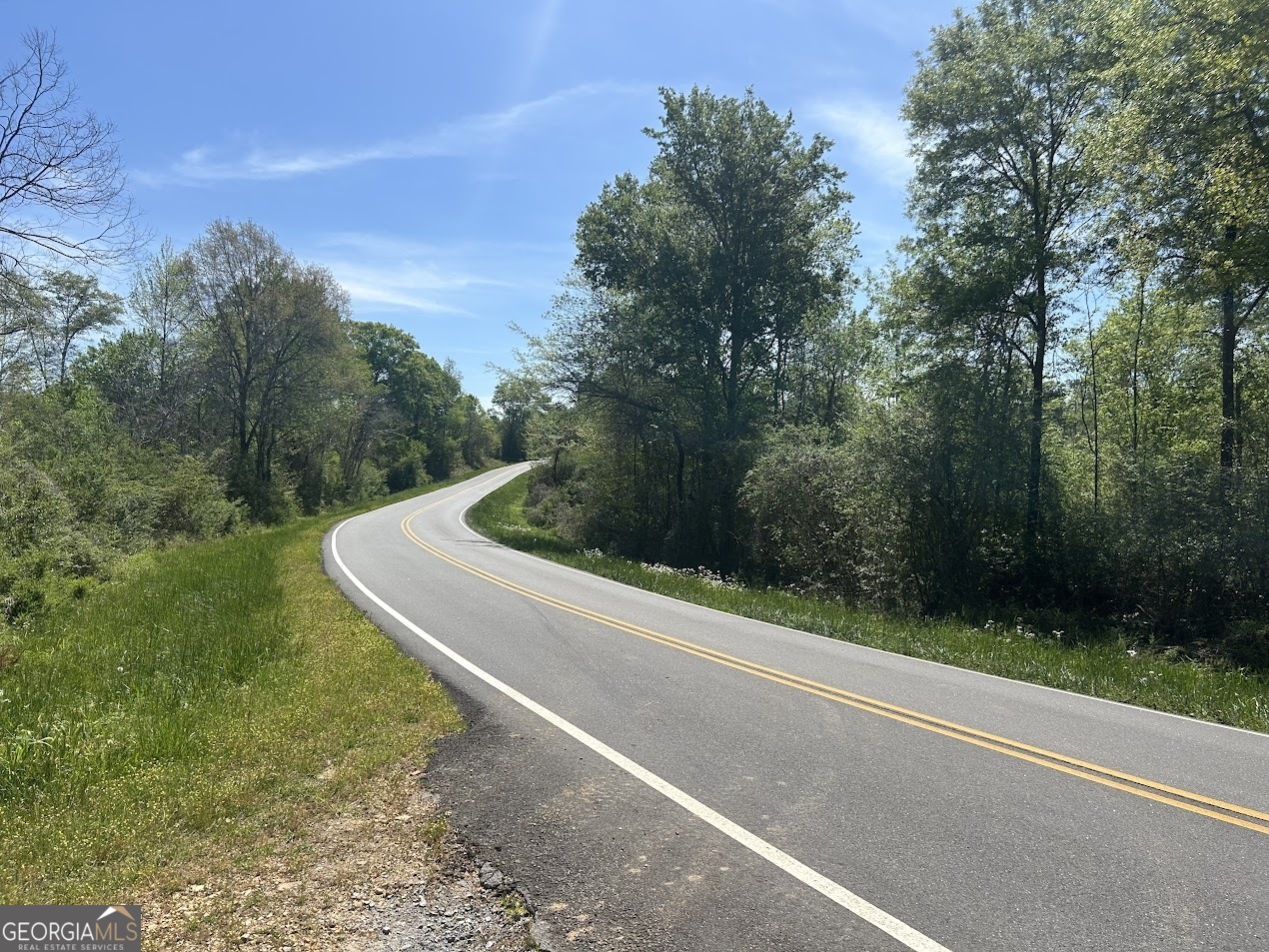 2633 Georgia Hwy 120 (485.53 Acres)