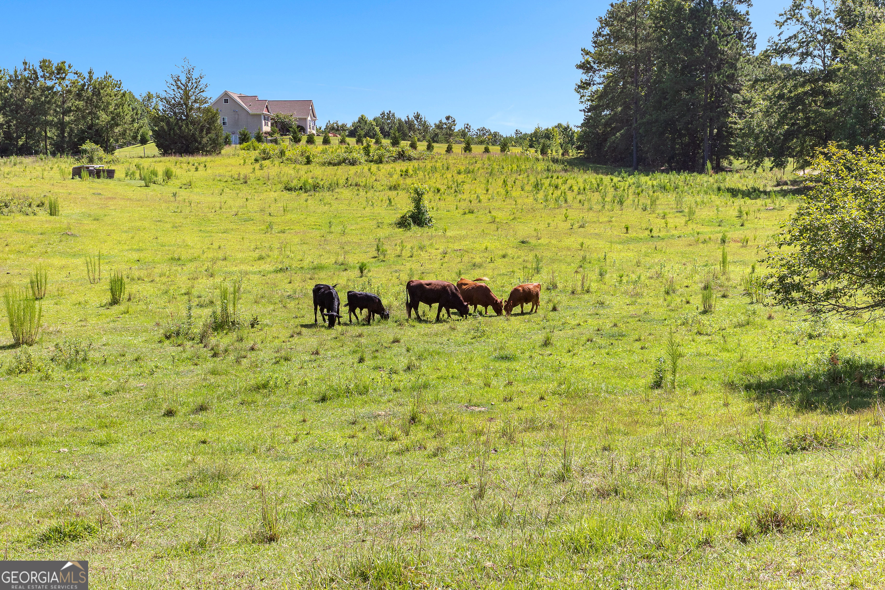 Woodbury, Georgia 30293, United States, 4 Bedrooms Bedrooms, ,4 BathroomsBathrooms,Residential,Active,173038