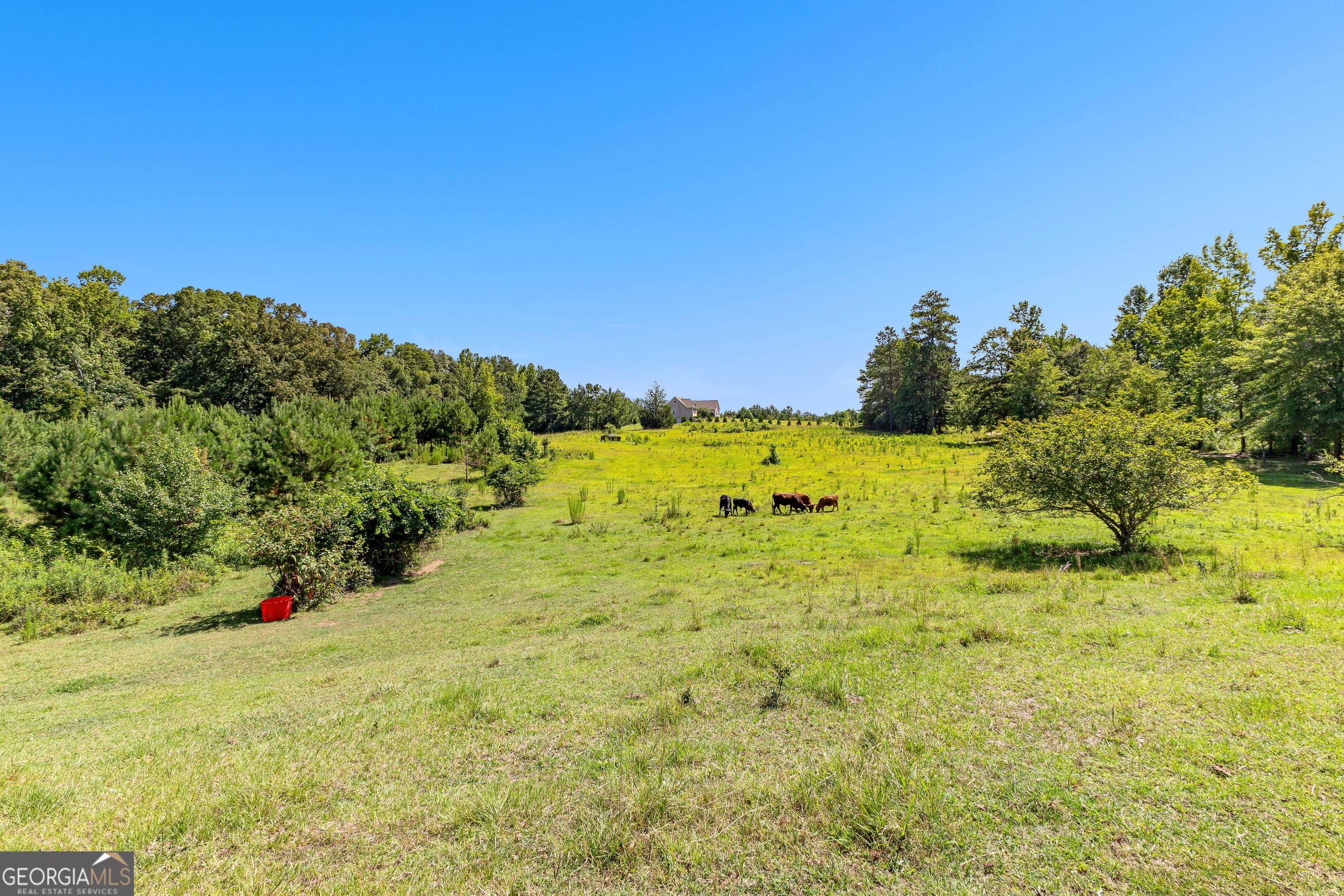 Woodbury, Georgia 30293, United States, 4 Bedrooms Bedrooms, ,4 BathroomsBathrooms,Residential,Active,173038