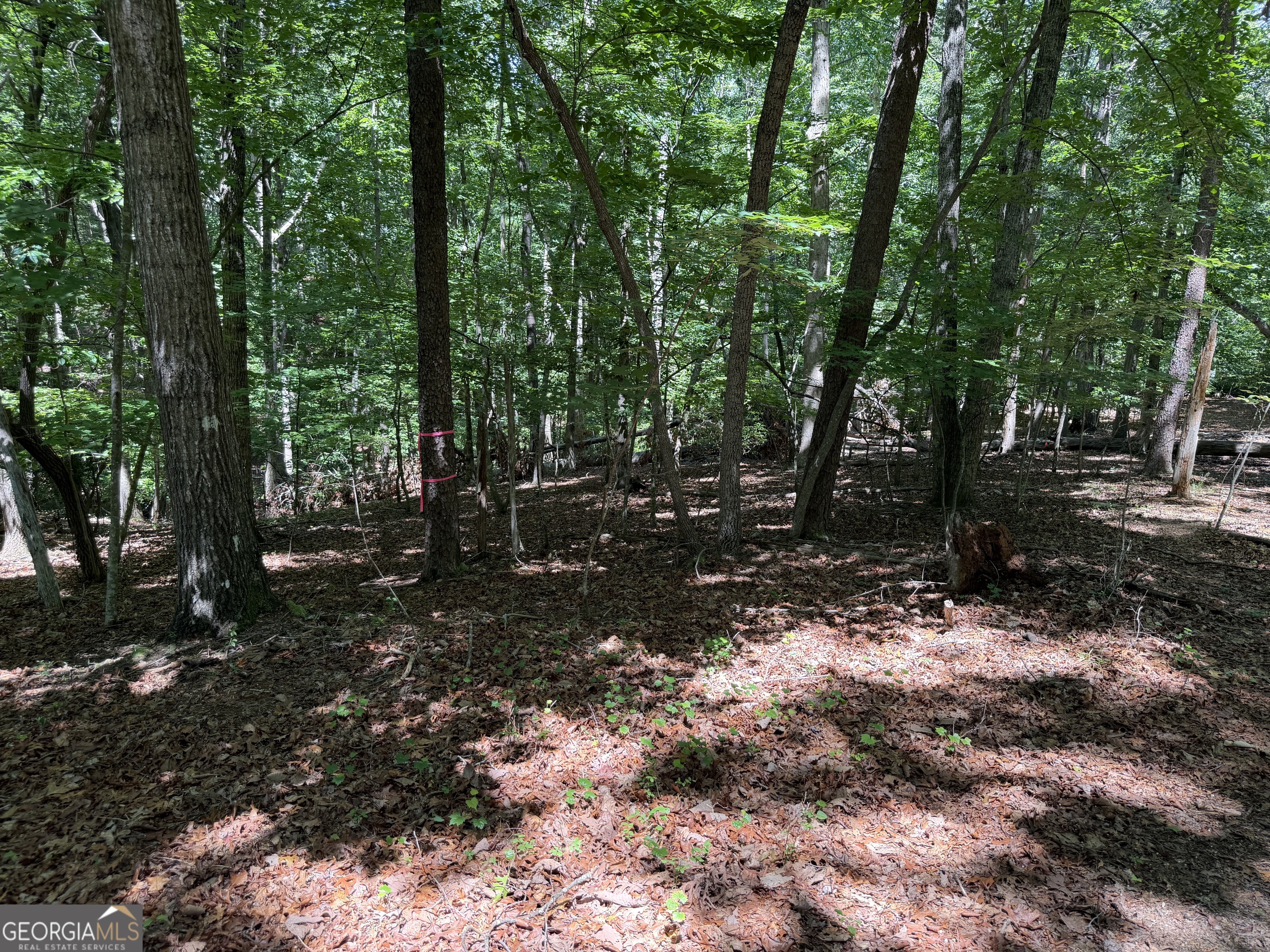7 Ivy Hills DR