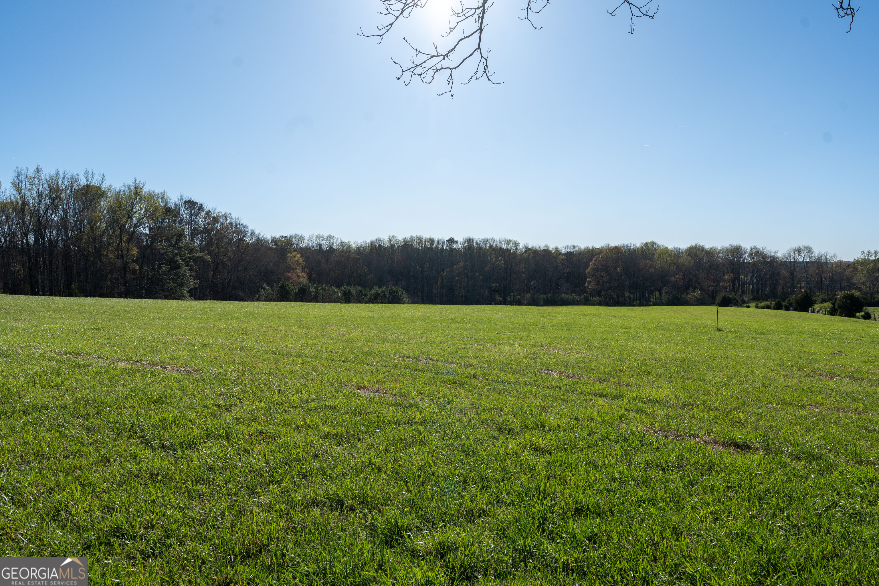 40 Meadow TRL