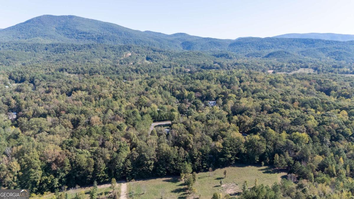 399 Estelle Middleton RD