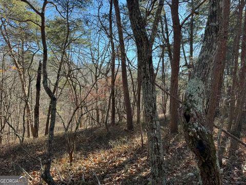 1493 Derby CT NE Ranger GA 30734