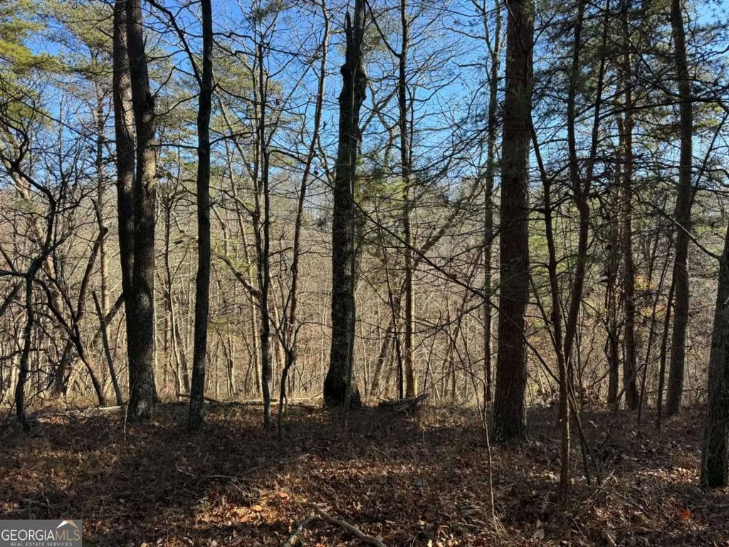 Photo of 1493 Derby Court NE, Ranger, GA 30734 (MLS # 10660401)