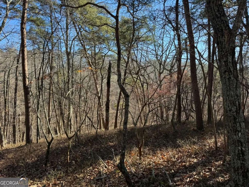 Photo of 1493 Derby Court NE, Ranger, GA 30734 (MLS # 10660401)