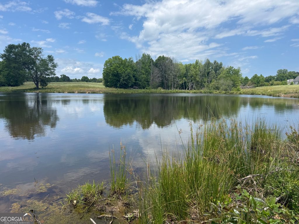 Photo of 35 Hwy 109, Zebulon, GA 30295 (MLS # 10758869)